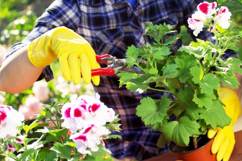 Gardener starting a sustainable lawn mowing job in Ruislip with recycling containers